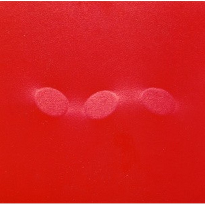 Tre ovali in rosso, 2006